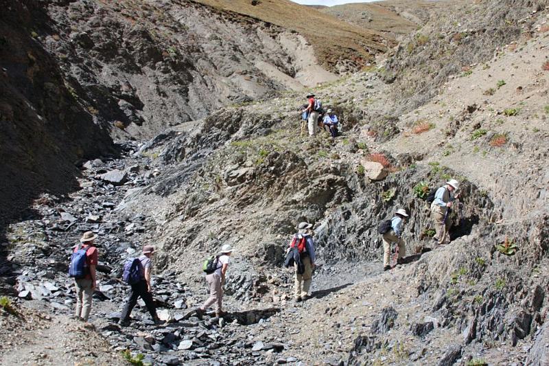 137 Along the hiking trail.jpg